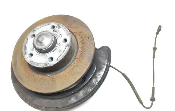 Renault Trafic III (X82) Rear wheel hub