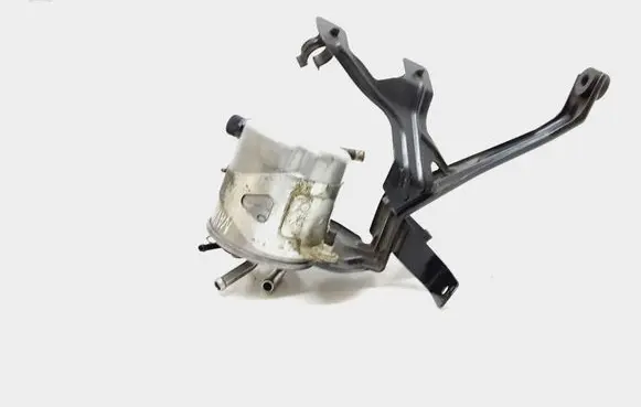 Nissan Navara D40 Fuel filter 