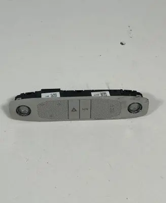 Tesla Model 3 Front seat light 109257299C