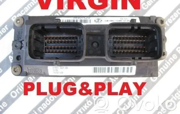Engine control unit/module ECU