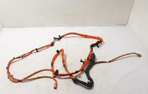 Porsche Panamera (971) Other wiring loom 971971012C