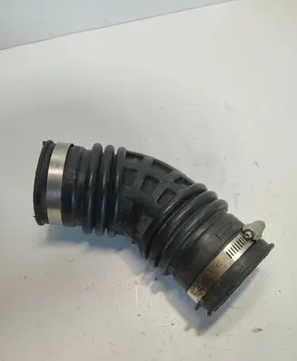 Nissan Qashqai Air intake hose/pipe 1072512S01