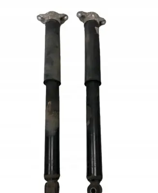 Ford Kuga II Rear shock absorber/damper CV6118080ABB