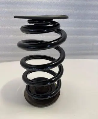Rear coil spring
