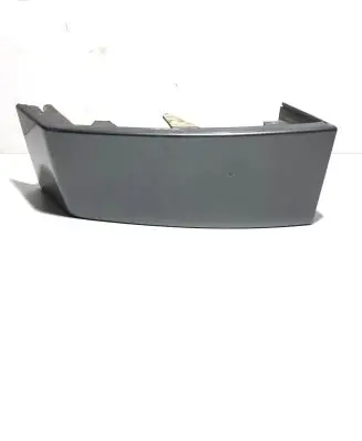 Rear/tail light trim molding
