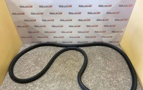 Opel Insignia A Front door rubber seal