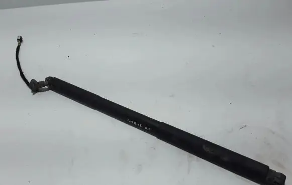 Tailgate strut