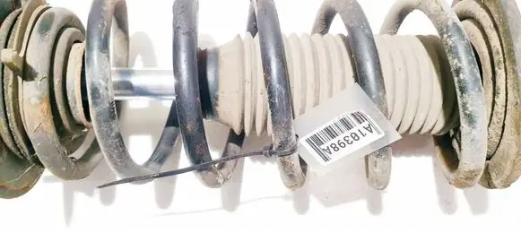 Chevrolet Captiva Front coil spring 