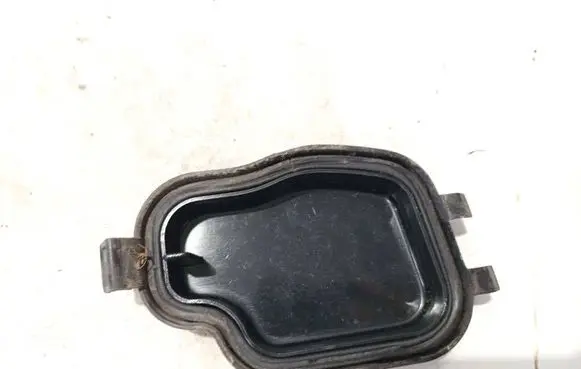 Headlight/headlamp dust cover