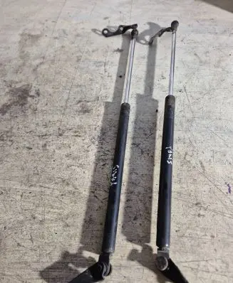 Tailgate strut