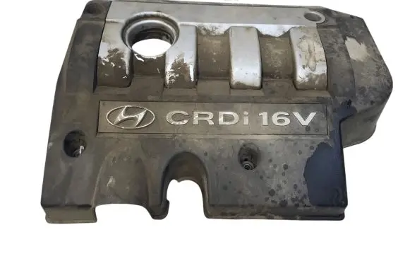 Hyundai Trajet Engine cover (trim) 2924027101