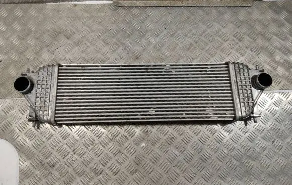 Suzuki Grand Vitara II Intercooler radiator 96525 0017365