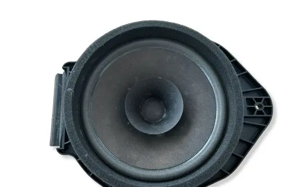 Opel Insignia A Rear door speaker 22759391