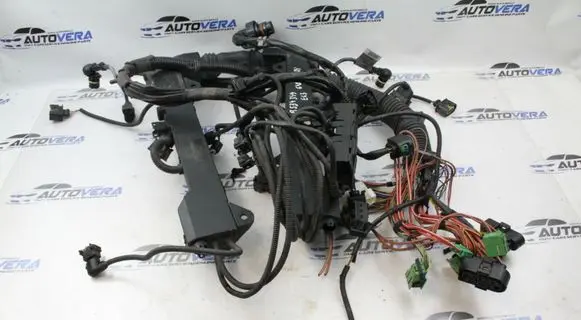 Engine installation wiring loom