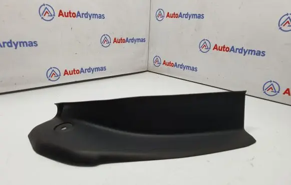 Rear/tail light trim molding