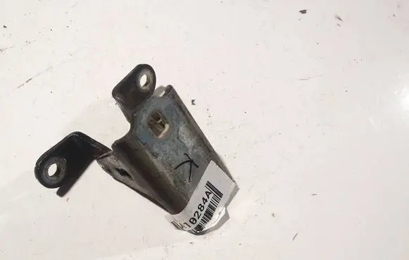 Opel Insignia A Rear door lower hinge