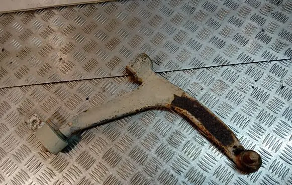 Front lower control arm/wishbone