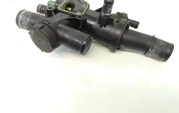 Thermostat/thermostat housing
