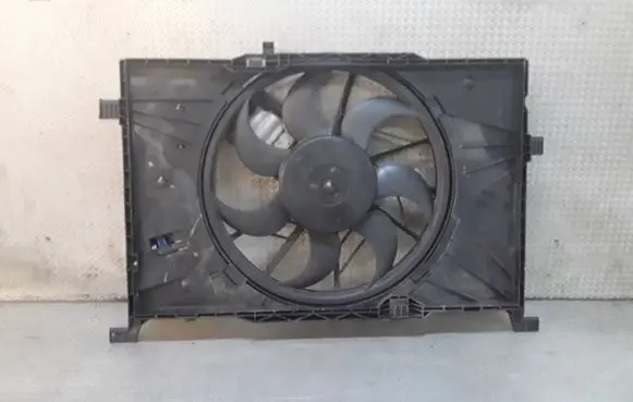 Mercedes-Benz B W245 Electric radiator cooling fan 0130307007 A1695002693