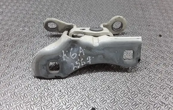 Chrysler 300 - 300C Rear door lower hinge 85574F