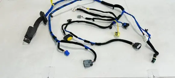 Hyundai Ioniq 5 Front door wiring loom 91612GI131 50340