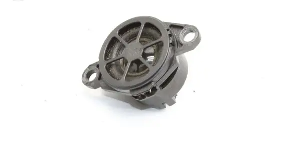 Nissan Qashqai J12 Panel speaker 248326RA0A