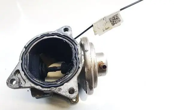 Volkswagen Golf Plus EGR valve 038131501AN 276211015