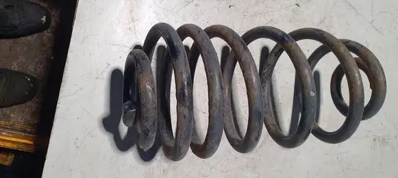 Rear coil spring