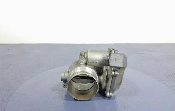 Throttle body valve