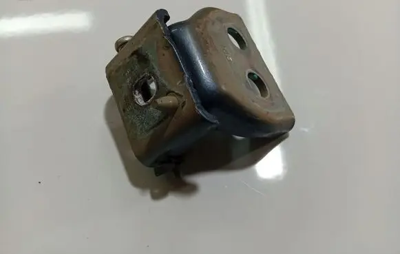Citroen C4 I Rear door lower hinge 