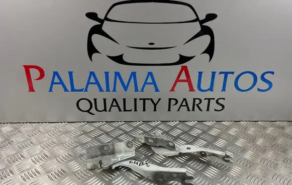 Engine bonnet/hood hinges