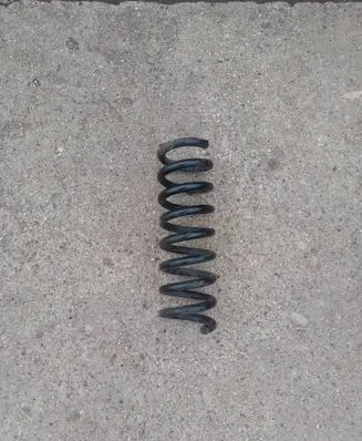 Rear coil spring