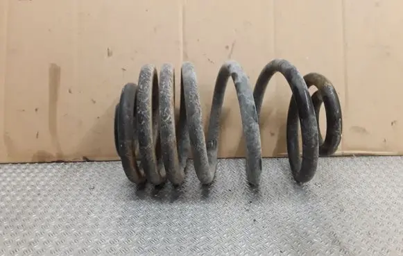 Rear coil spring