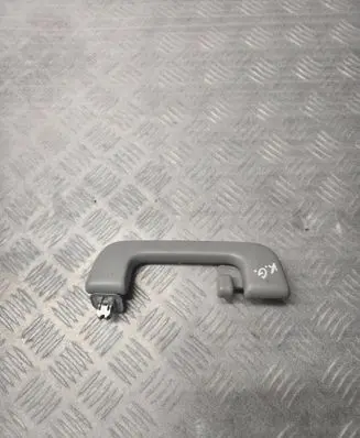 Toyota RAV 4 (XA40) Rear interior roof grab handle 4746132060
