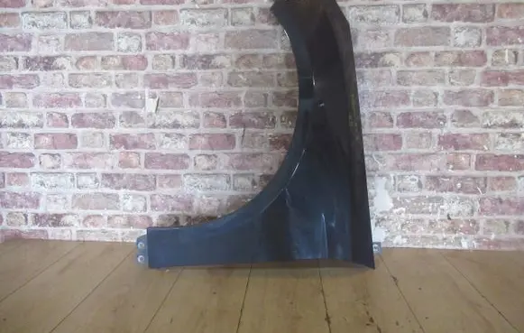 Ford Focus Fender
