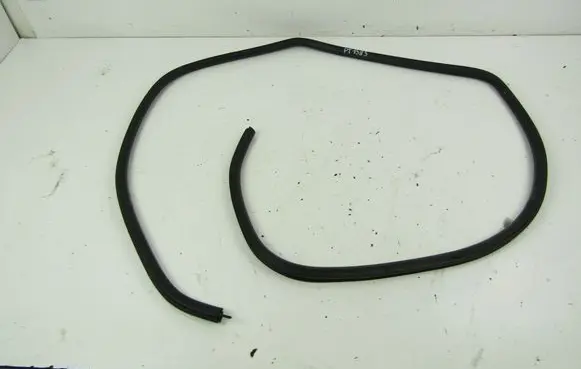Ford Focus C-MAX Rear door rubber seal (on body) 