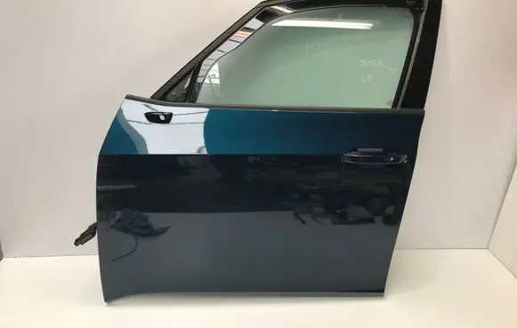 Cupra Born Front door 10A831311A W5Q