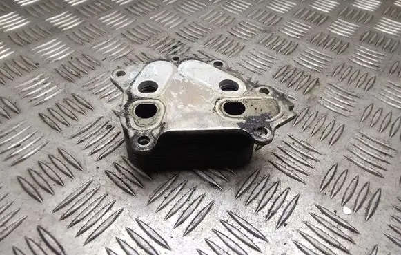 Peugeot 207 Oil filter mounting bracket