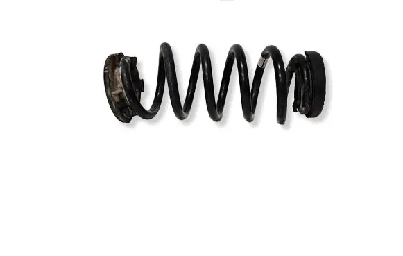 Alfa Romeo Giulia Rear coil spring 50539299