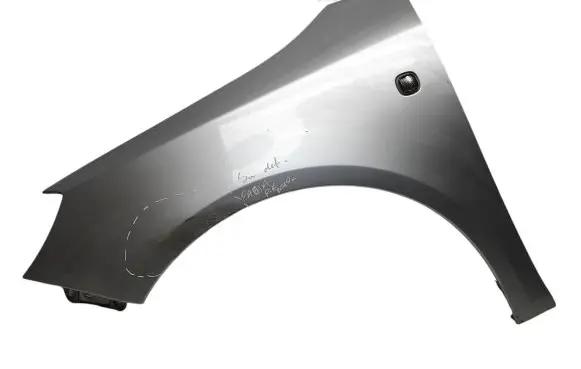 Skoda Fabia Mk2 (5J) Fender