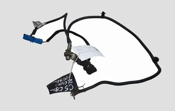 Citroen C5 Negative earth cable (battery) 9664448980 0199000028