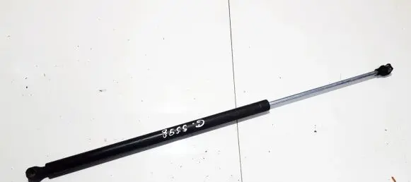 Tailgate/trunk strut/damper