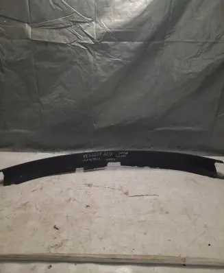 Peugeot 807 Wiper trim 1490746077