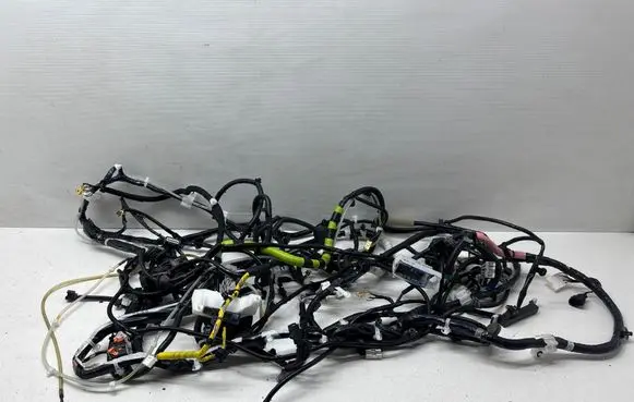 Nissan Rogue Left interior wiring harness 240146YY1A 1819000