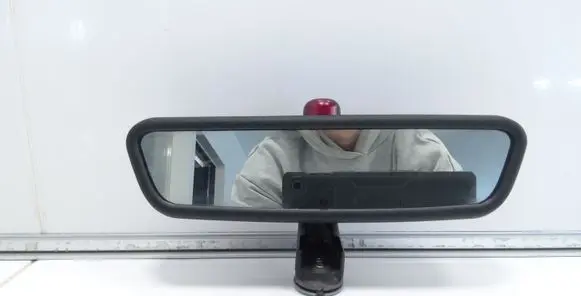 BMW X5 E53 Rear view mirror (interior) E11015313