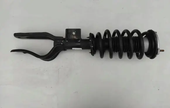 Tesla Model 3 Front shock absorber with coil spring 104436804B AQT211062A77300