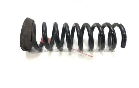Rear coil spring