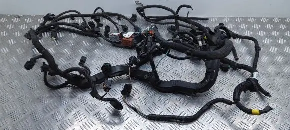 Engine installation wiring loom