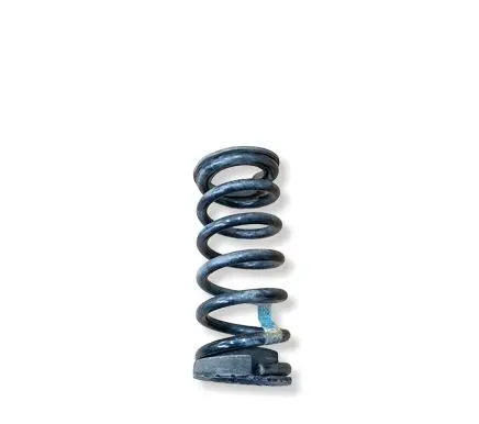 Ford Mustang VI Rear coil spring FR3C5560BC DG9C5599AXC E1GC5B718AXC