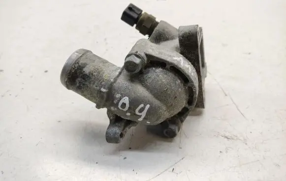 Thermostat/thermostat housing